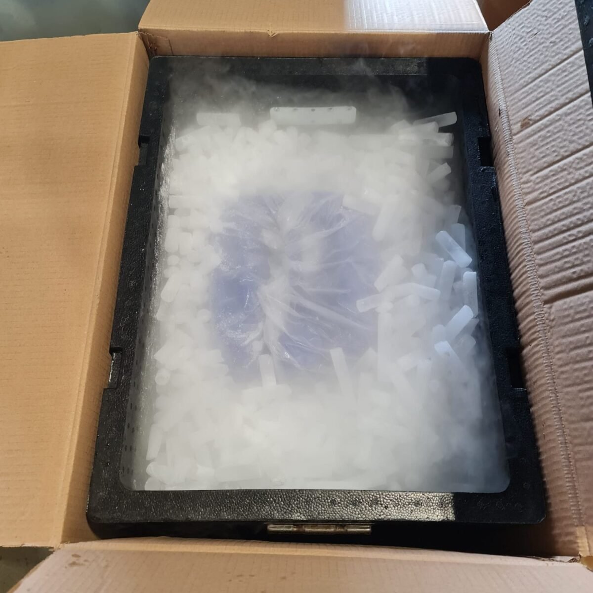 GUMRUK 3 Reykan Kuru Buz