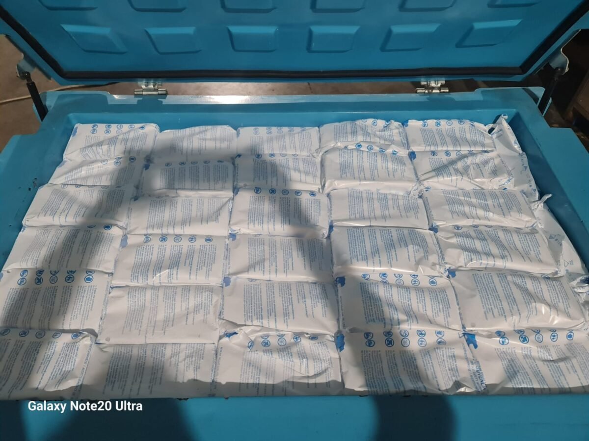 GUMRUK 4 Reykan Kuru Buz